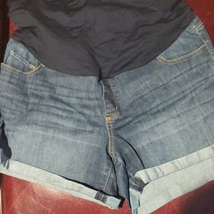 Liz Lange Maternity shorts XL
